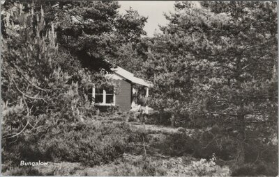 BEEKBERGEN - Groeten uit Vacantie-oord Lierderholt. Bungalow