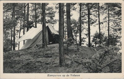 VELUWE - Kamperen op de Veluwe