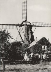 EDE - Molen