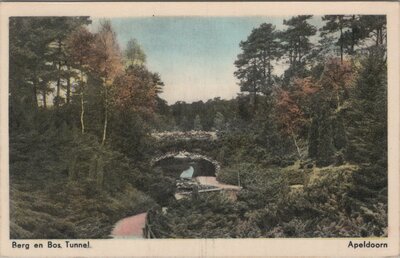 APELDOORN - Berg en Bos, Tunnel