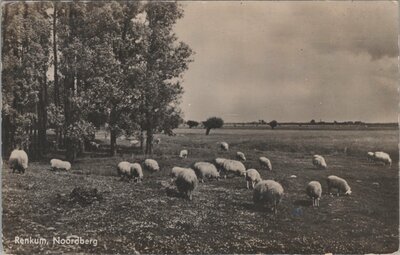 RENKUM - Noordberg