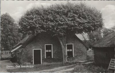 DIEVER - Oud Boerderijtje