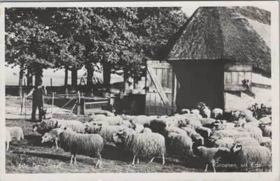 EDE - De Ginkel. Groeten uit Ede