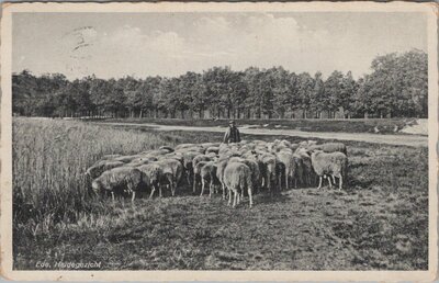 EDE - Heidegezicht