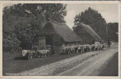 ERMELO - Schaapskooi op de Veluwe bij Ermelo