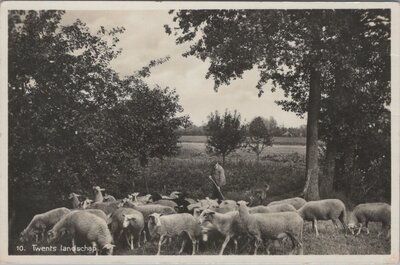 TWENTE - Twents landschap