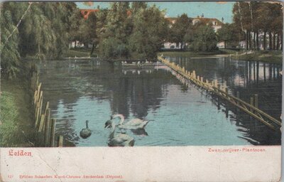 LEIDEN - Zwanenvijver-Plantsoen