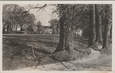 DENEKAMP - Fietspad bij de Jeugdherberg 't Huis te Brecklenkamp