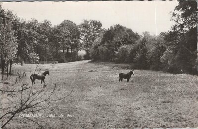 OOTMARSUM - IJsdal de Bron