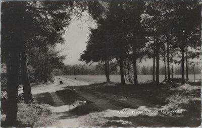 VASSE - Natuurschoon Springendal