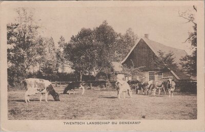 DENEKAMP - Twentsch landschap bij Denekamp