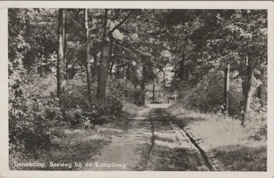 DENEKAMP - Bosweg bij de Kampbrug