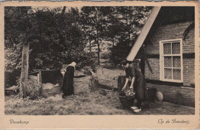 DENEKAMP - Op de Boerderij