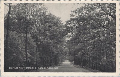 DE LUTTE - Straatweg naar Bentheim, de Lutte bij Oldenzaal