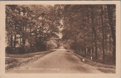 DE LUTTE - Bentheimer Straatweg