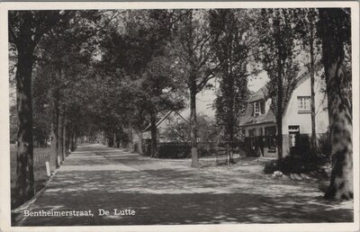 DE LUTTE - Bentheimerstraat