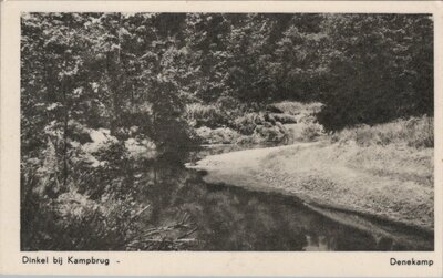 DENEKAMP - Dinkel bij Kampbrug