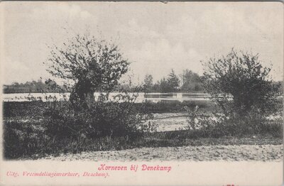 DENEKAMP - Korneven bij Denekamp