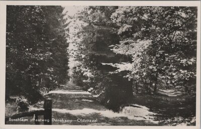 DENEKAMP - Boschlaan straatweg Denekamp - Oldenzaal