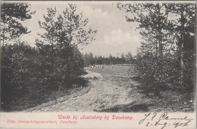 DENEKAMP - Weide bij Austieberg bij Denekamp