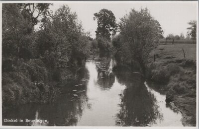 BEUNINGEN - Dinkel in Beuningen