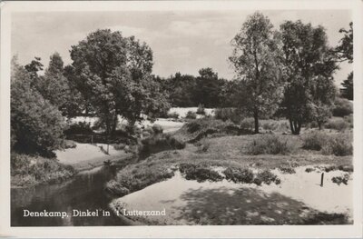 DENEKAMP - Dinkel in 't Lutterzand