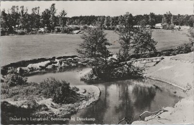 BEUNINGEN - Dinkel in 't Lutterzand. Beuningen bij Denekamp