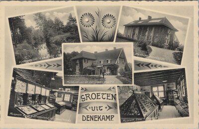 DENEKAMP - Meerluik Groeten uit Denekamp