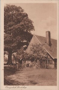 OVERIJSSEL - Overijselsch Landschap