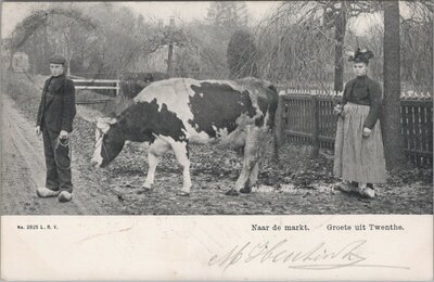 TWENTE - Naar de markt. Groete uit Twenthe