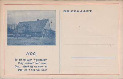 TWENTE - Moo. Briefkaart