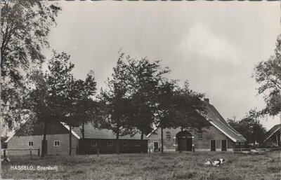 HASSELO - Boerderij