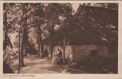 OVERIJSSEL - Overijselsch Landschap