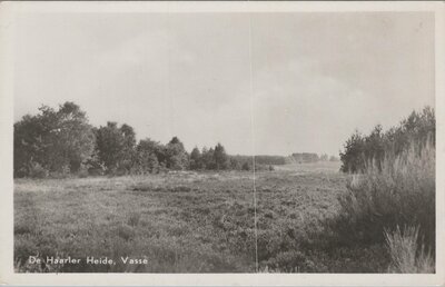 VASSE - De Haarler Heide