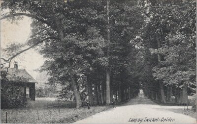 DELDEN - Laan bij Twickel