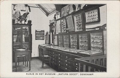 DENEKAMP - Kijkje in het Museum Natura Docet