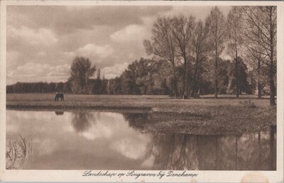 DENEKAMP - Landschap op Singraven bij Denekamp