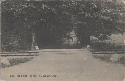 DENEKAMP - Laan in Borchbosch bij Denekamp