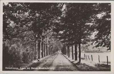 DENEKAMP - Laan bij Huize Breklenkamp