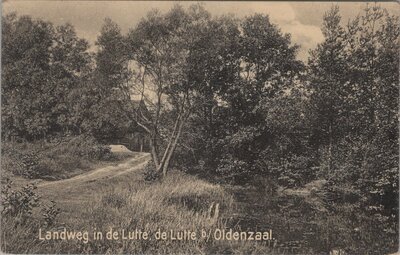 DE LUTTE - Landweg in de Lutte, de Lutte b/ Oldenzaal