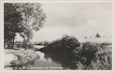 BEUNINGEN - Dinkel in de Riest, Beuningen bij Denekamp