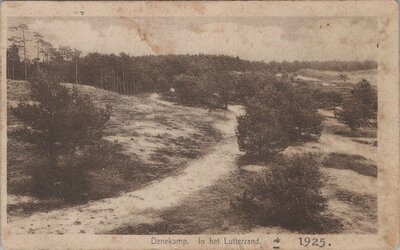 DENEKAMP - In het Lutterzand