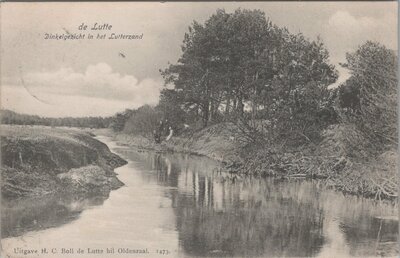 DE LUTTE - Dinkelgezicht in het Lutterzand