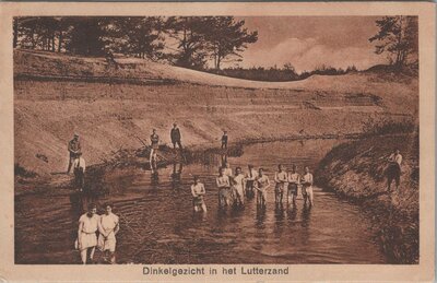 LUTTERZAND - Dinkelgezicht in het Lutterzand