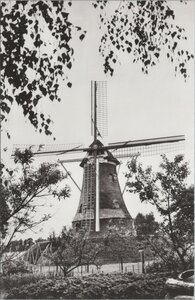 REKKEN - Pieper Molen