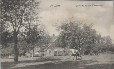 DE LUTTE - Boerderij bij den Tankenberg