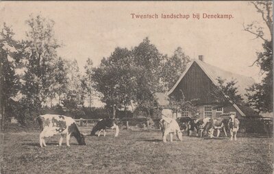 DENEKAMP - Twentsch landschap bij Denekamp