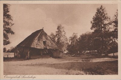 OVERIJSSEL - Overijselsch Landschap