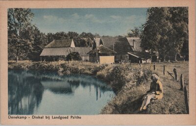 DENEKAMP - Dinkel bij Landgoed Palthe