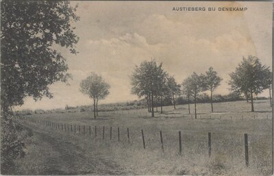 DENEKAMP - Austieberg bij Denekamp